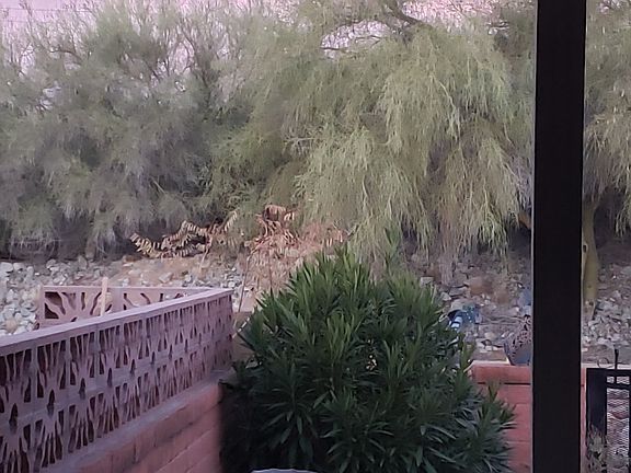 3rd image of 225 N Calle Del Diablo