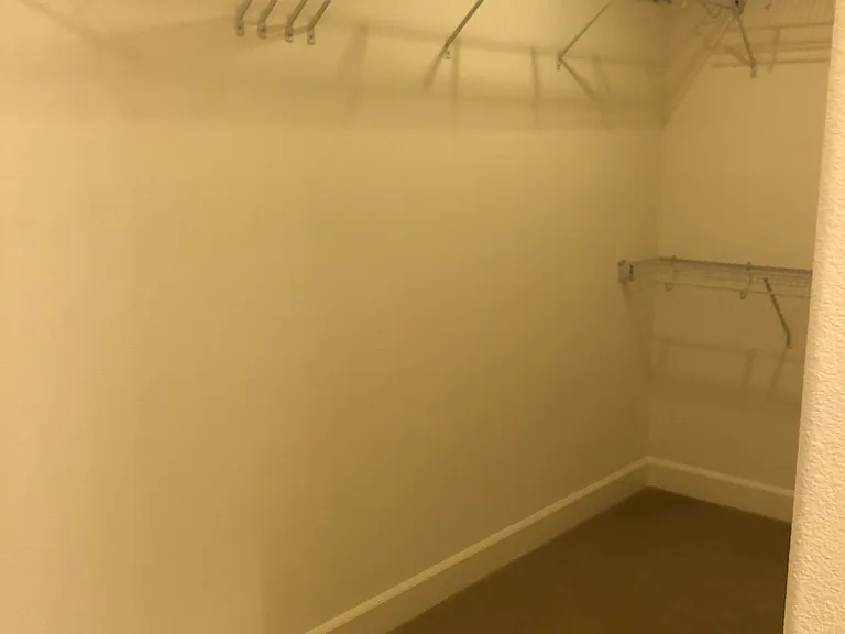 Primary Walk-in Closet