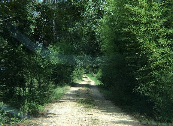 3rd image of 843 Highway 334