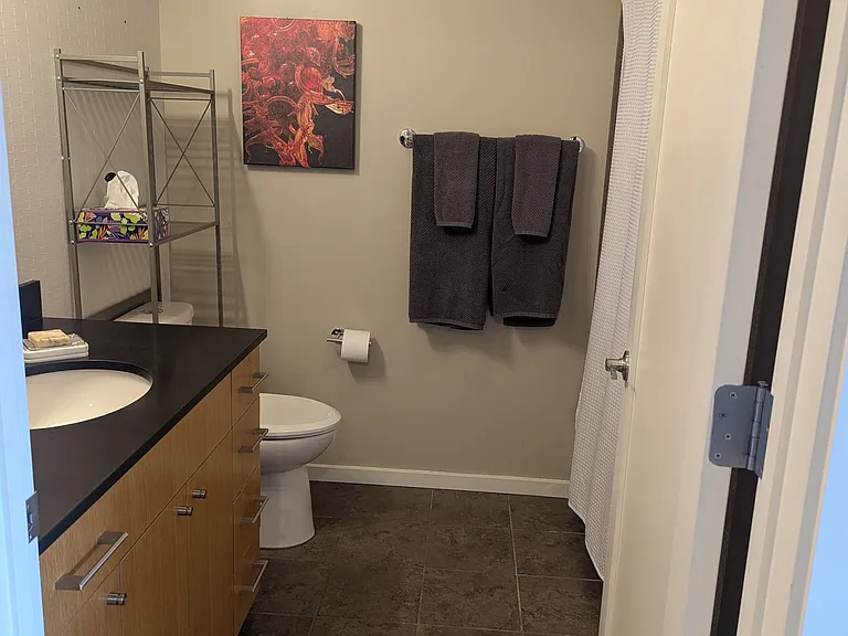 76 Cedar St #809 — Photo 12