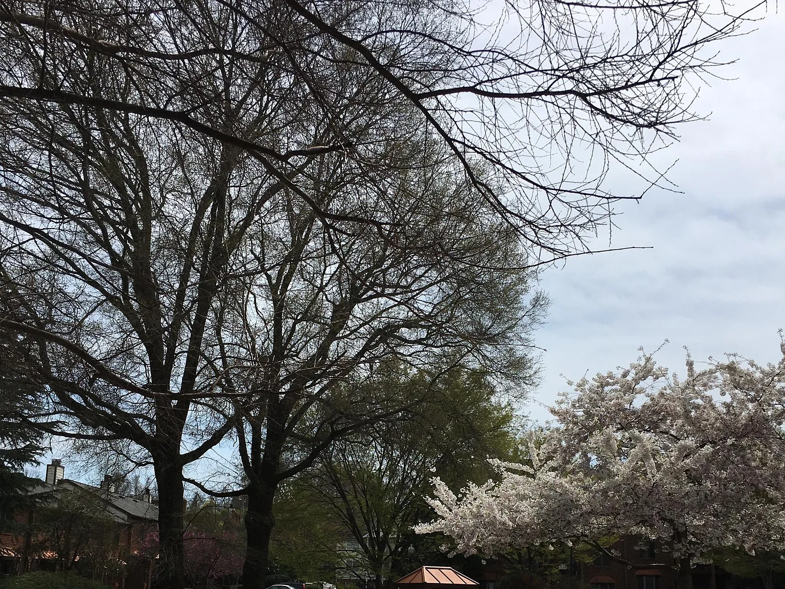 100 Wafco Ln — Photo 2