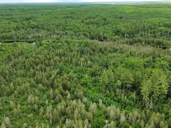 40 Acres Off, Alpha, MI 49902
