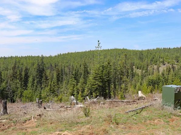 Fox Meadow Dr Parcel 3, Orofino, ID 83544