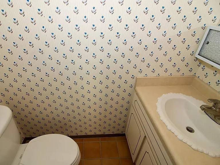 Powder Room Sink