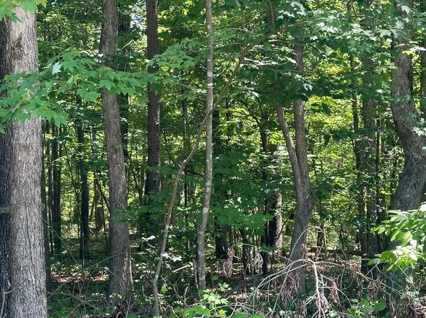 189 Kyuga Dr, South Pittsburg, TN 37380