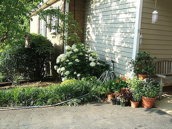 Carport Entrance at back