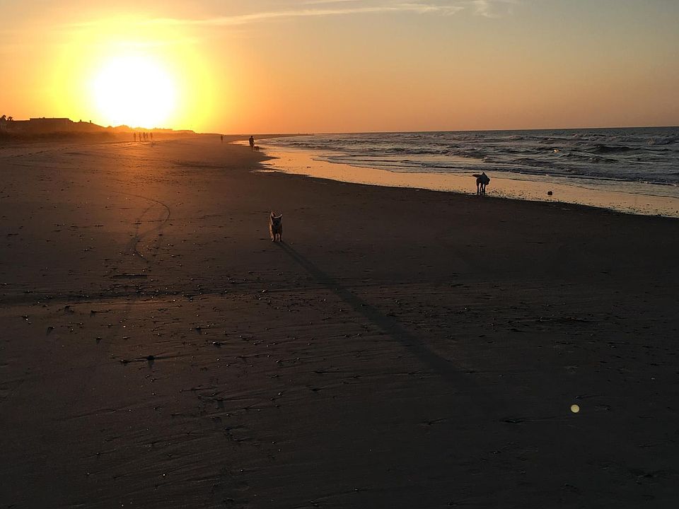 IOP Beach is minutes away! Proper pictures of unit available upon request. Occupied til July 30.