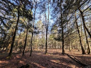 2788 Williamson Rd, Greenwood, NY 14839