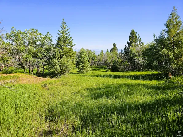 2 Whispering Pines Rd, Mount Pleasant, UT 84647