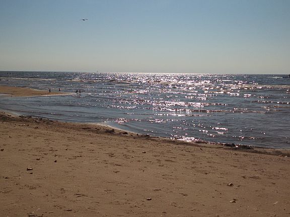 4th image of 7213 Shore Dr