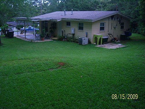 Back yard.