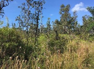 4th Ave LOT 2503, Keaau, HI 96749
