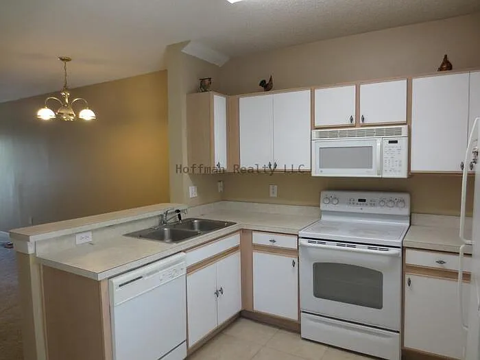 6252 Osprey Lake Cir — Photo 3