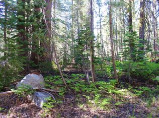 52315 Donner Pass Rd, Soda Springs, CA 95728