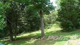 13725609_1219886440054_buelow3287-2_jpg