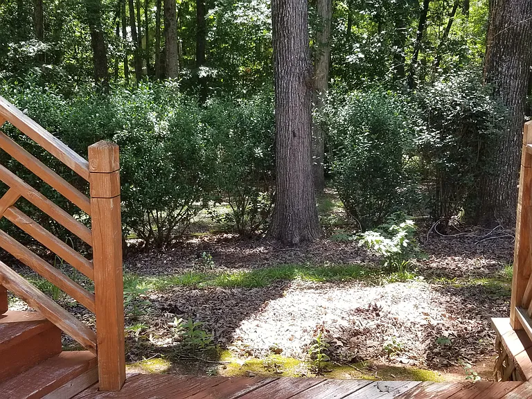 View from the double level deck towards the gardenia bushes in the wooded backyard