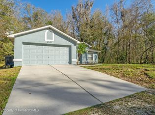23177 Fitzhugh Ave, Brooksville, FL 34601