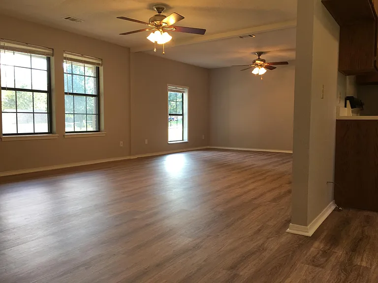 1417 Grand Pine Dr — Photo 4