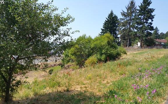 5th image of 1406 W 39th St