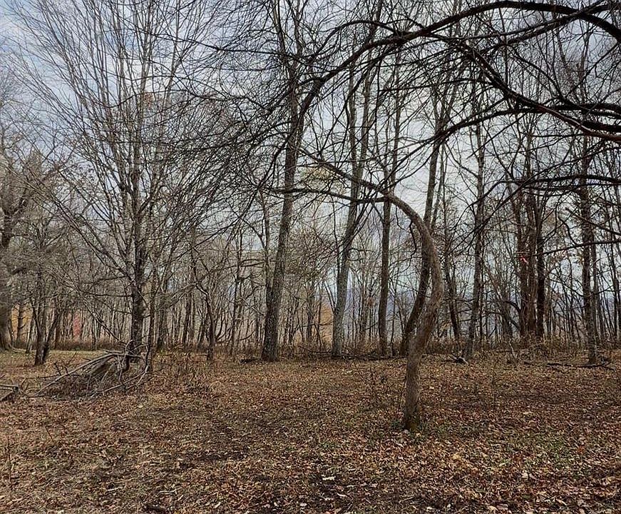 2nd image of Mystery Mountain Dr