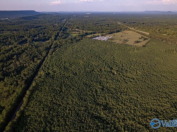 2nd image of 110 Acres Hwy #11
