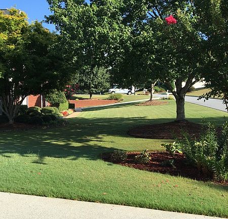 Manicured lawn