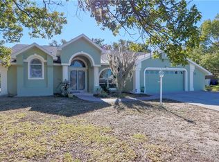 196 Hallow Ave, Spring Hill, FL 34606