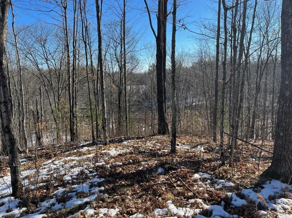 Loretta Ln, Mountain, WI 54149