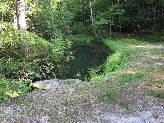 Creeks & pond at back of lot