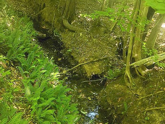 4th image of 0 Hill Rd