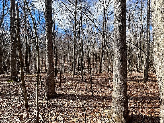 3rd image of Fawn Lake Frst