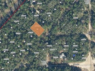 118 W Hillsborough Ave #30, Florahome, FL 32140