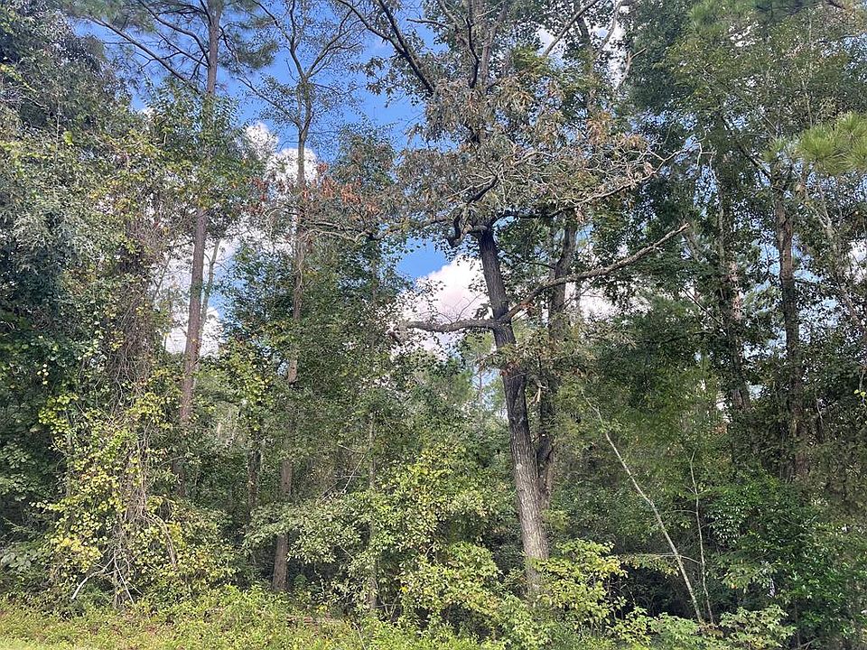 1st image of 500 Timberland Dr
