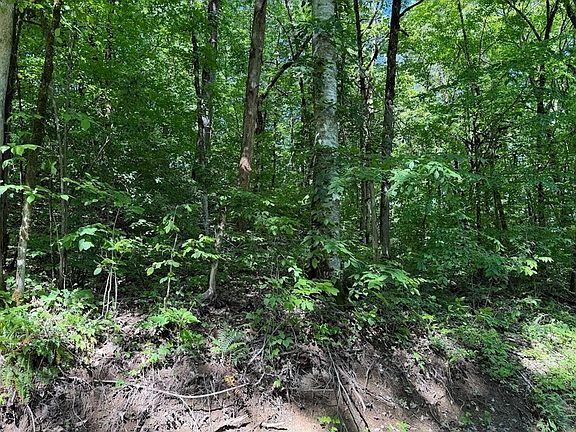 3rd image of 0 Spring Creek Rd