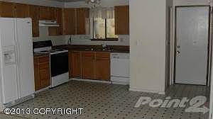 SDC11386