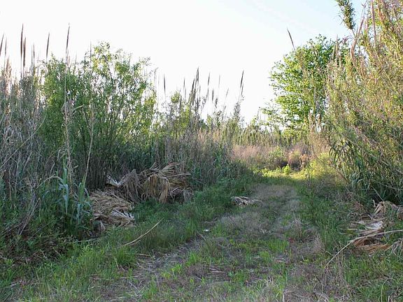 4th image of 119 Cashmere Ln. Lot C of the Belle Edge Lands