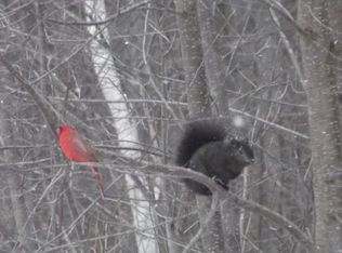 2979 N Trillium Ln, Sanford, MI 48657