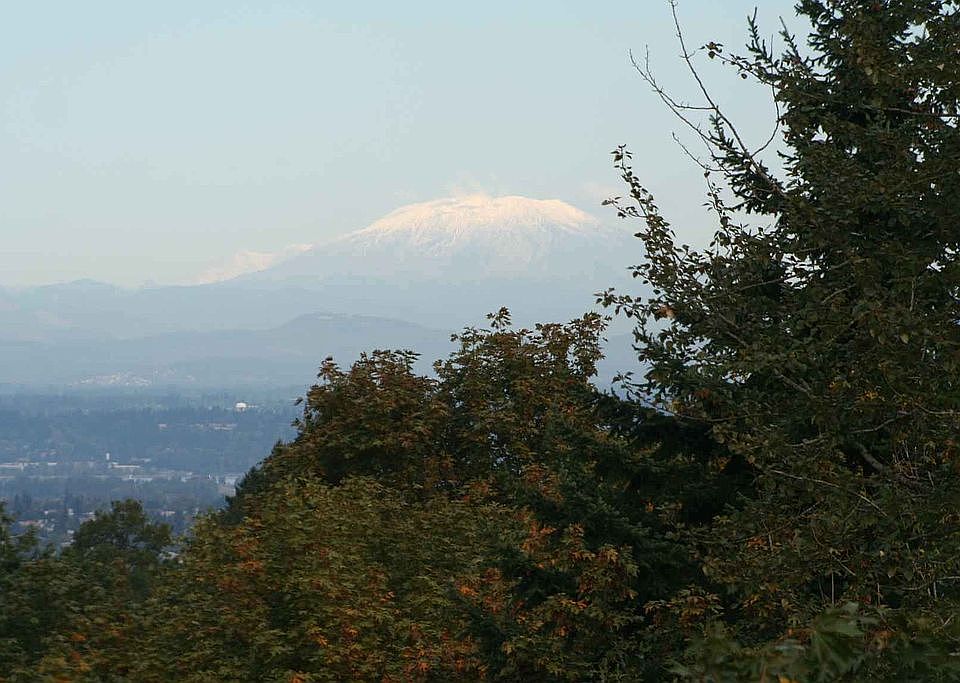 Mt St Helens & City Views