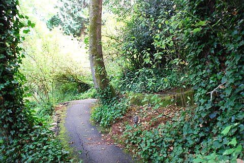 Paved Walking Paths 
