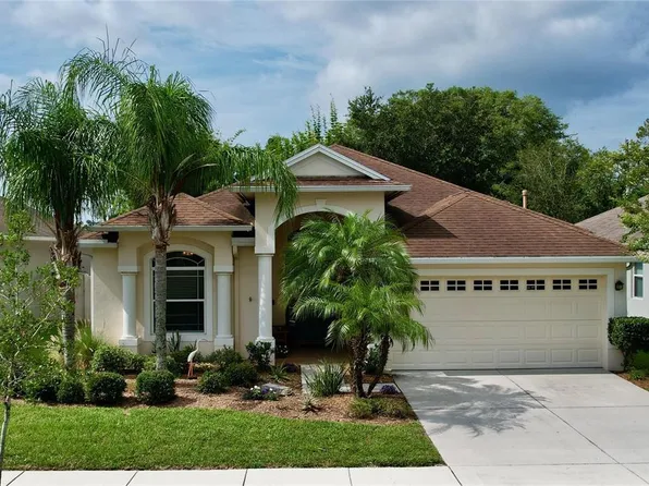 20406 FALLING ROCK DRIVE, LAND O LAKES, FL 34638