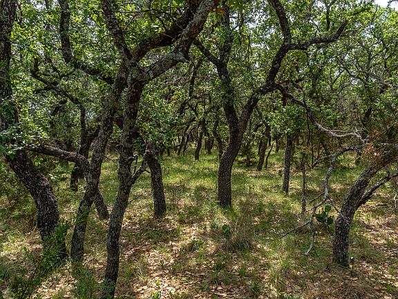 Owner Financed Land in Brown Co TX