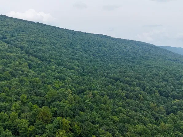 Mountain Rd, James Creek, PA 16657