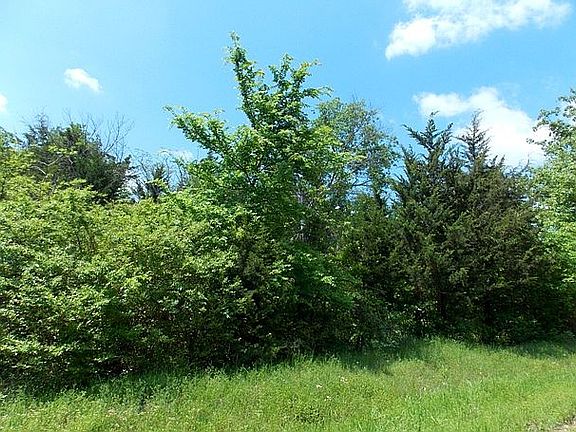 5th image of CR 4249