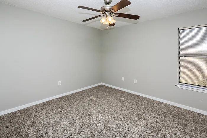 507 Twin Pine Cv — Photo 8