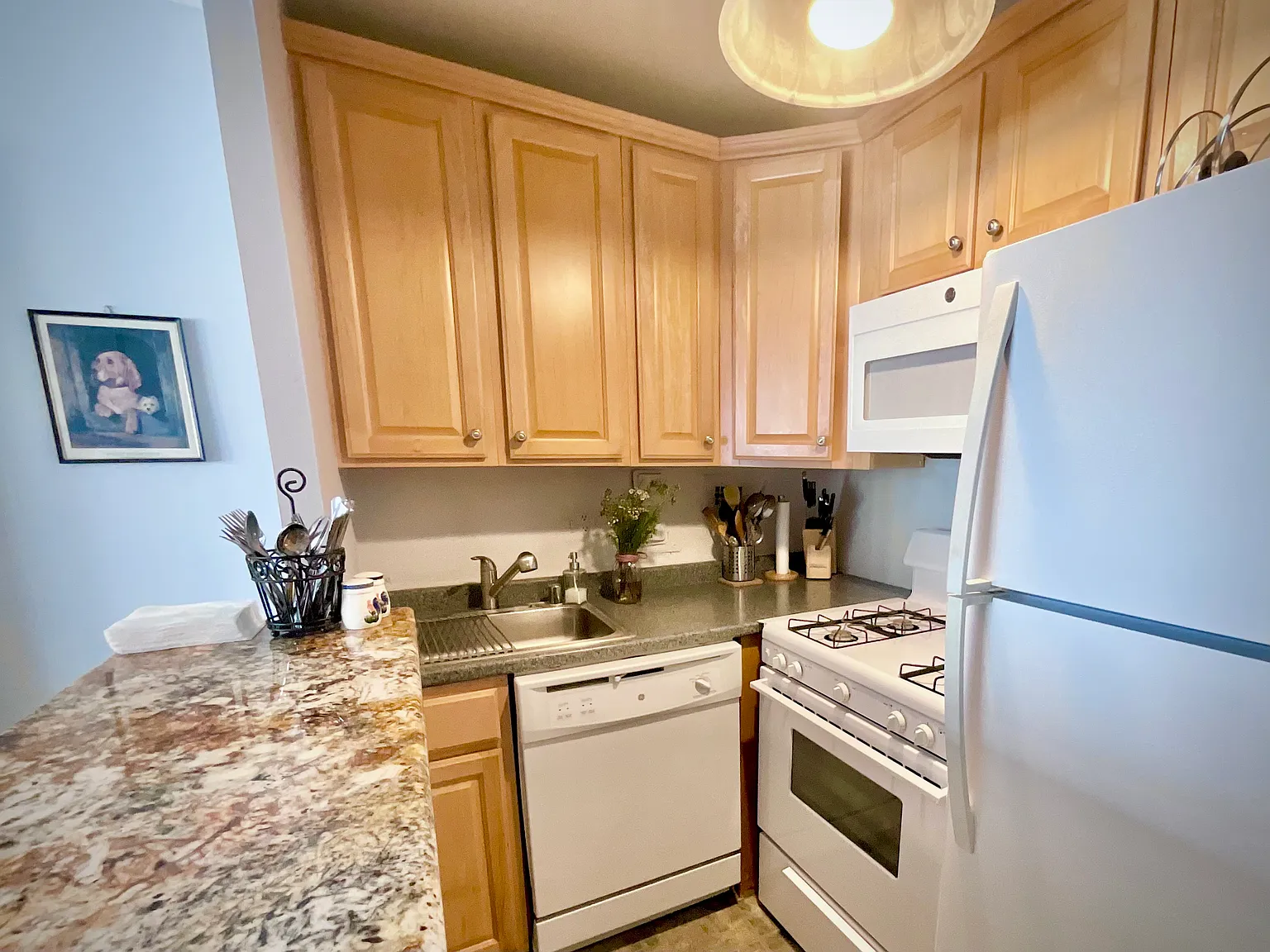 Studio, 490 sqft, $1,950 — Photo 2