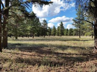167 N Nelsons Way, Williams, AZ 86046