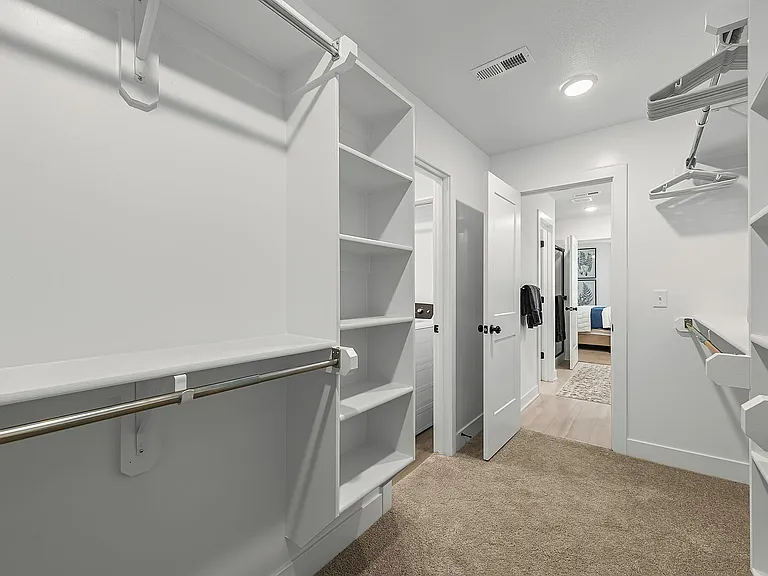 Primary Closet