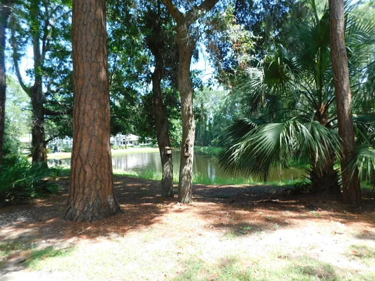 55 Savannah Trl — Photo 26