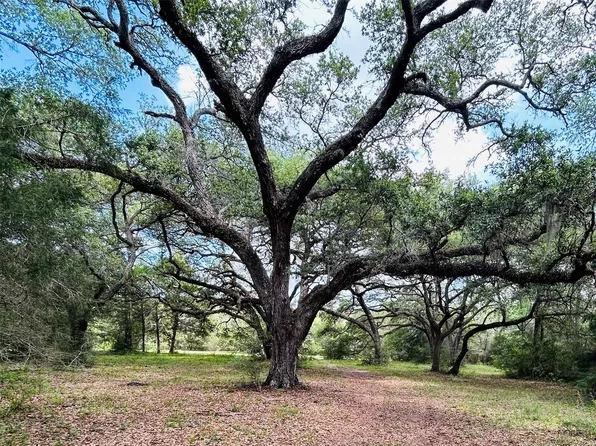Dunlavy Rd, Cat Spring, TX 78933