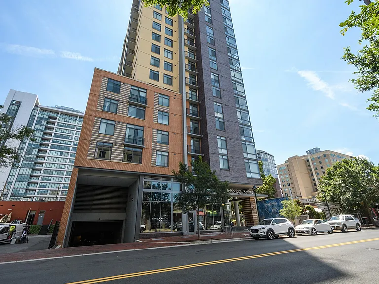 Ellis Bethesda — Photo 15
